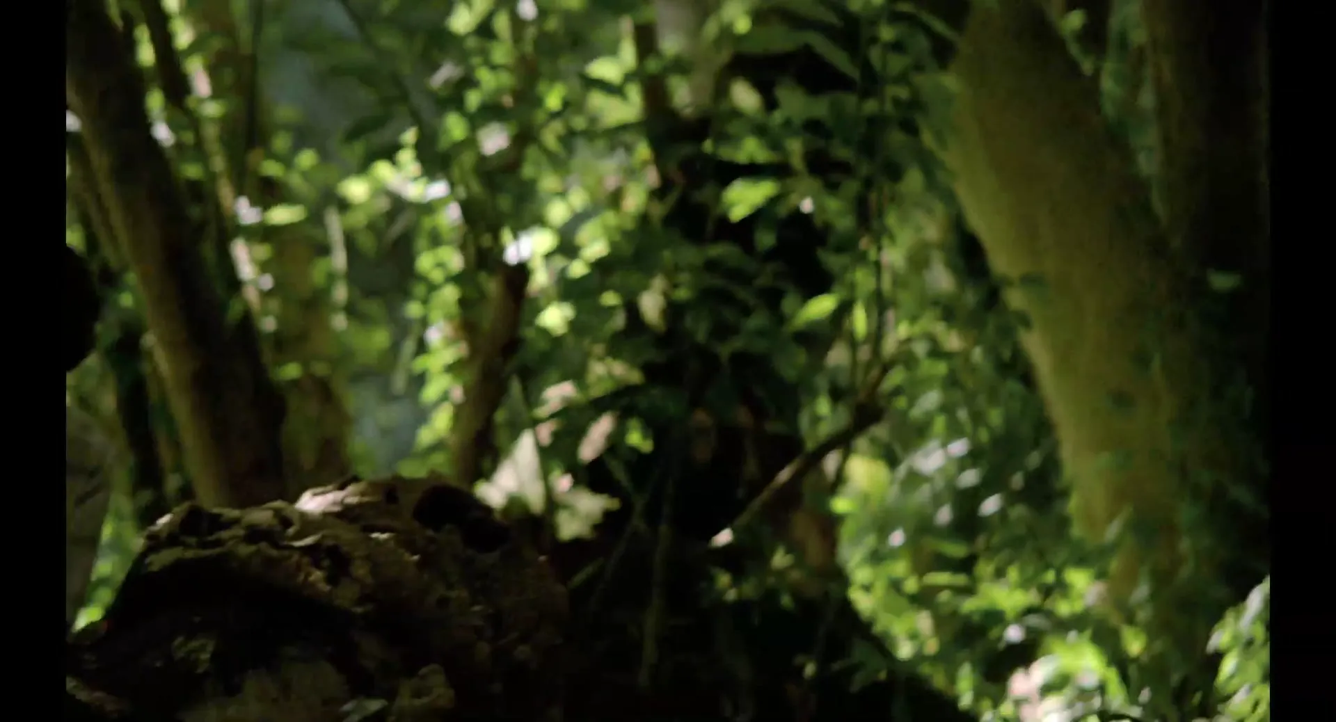 What a Honeymoon scene still 7