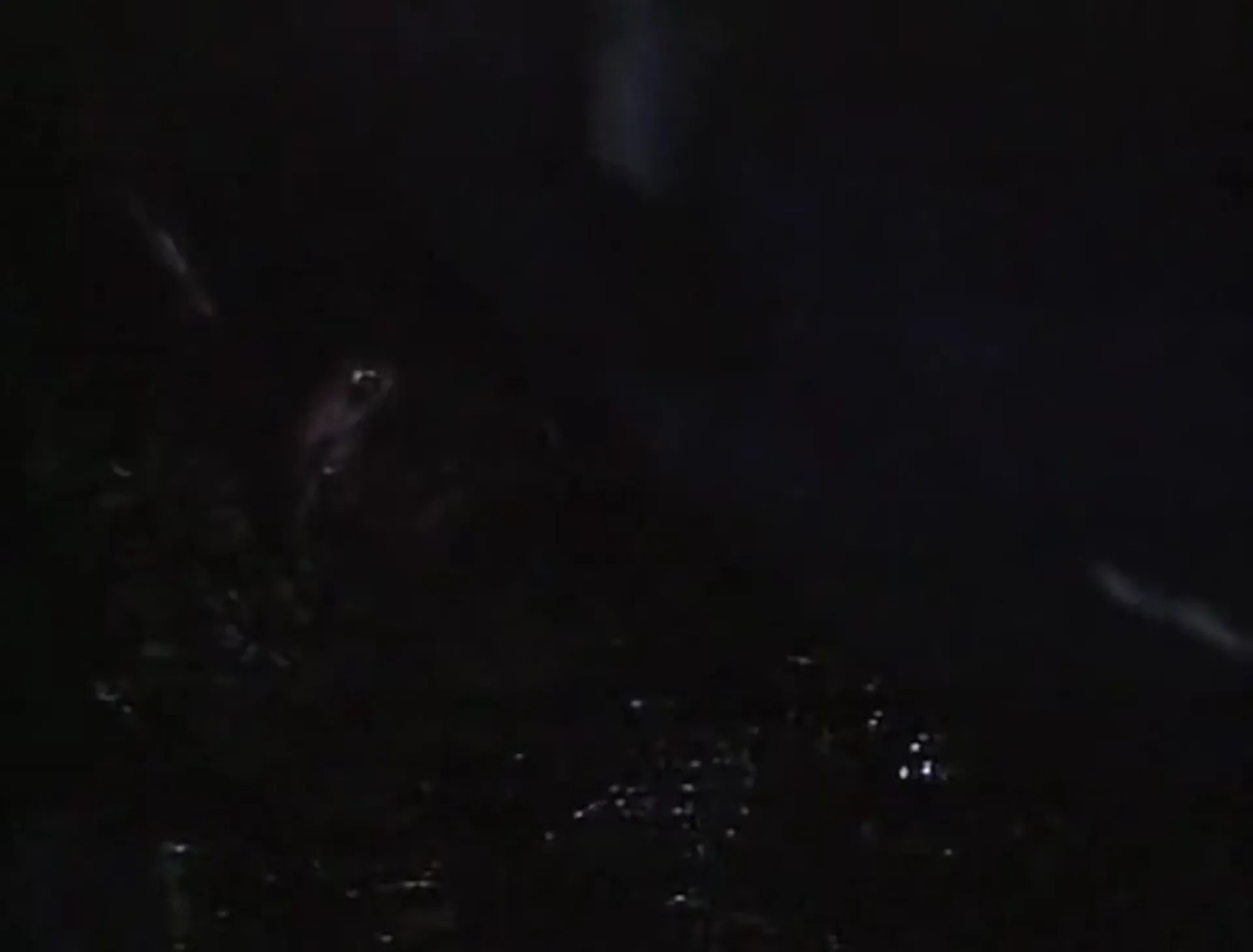 Blood Cult scene still 4