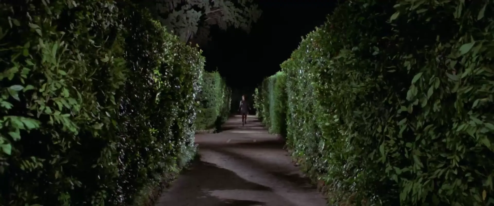 Four Flies on Grey Velvet scene still 4