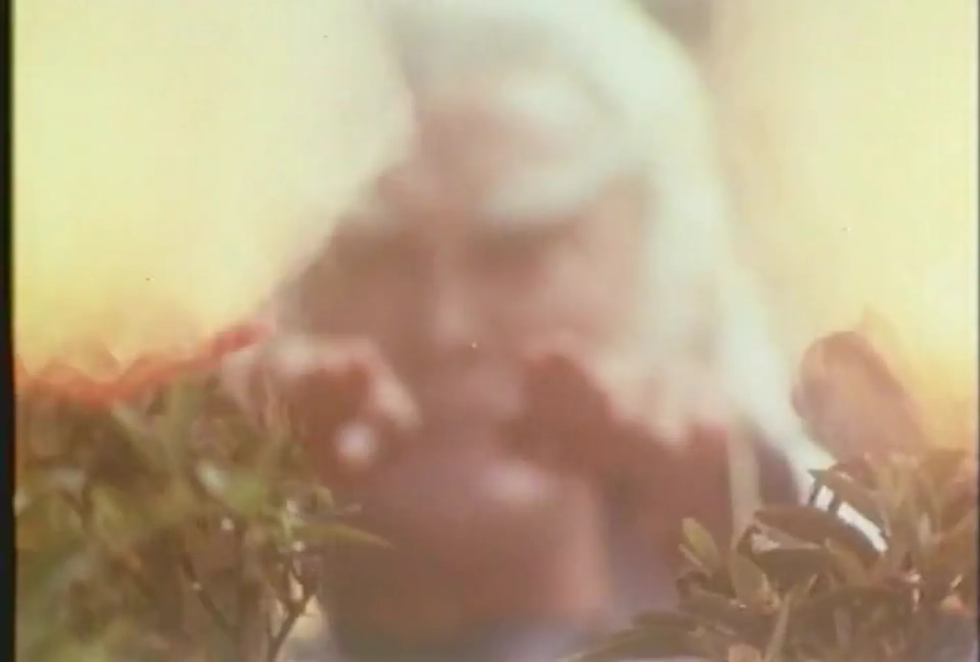 Ninja Hunter scene still 5