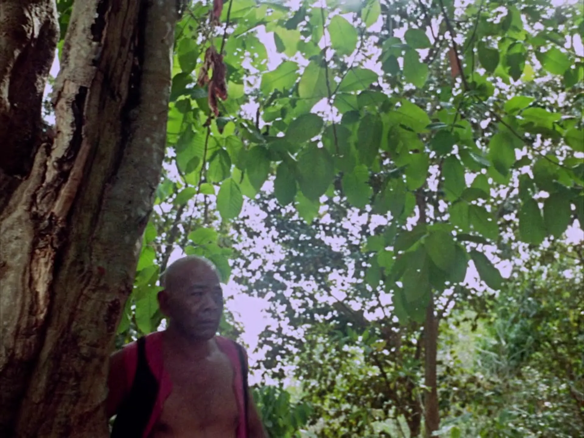 Brides of Blood scene still 5