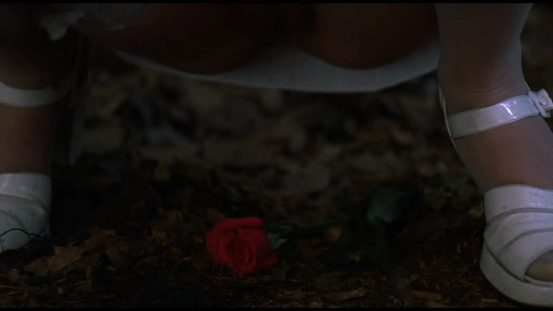 The Image scene still 2