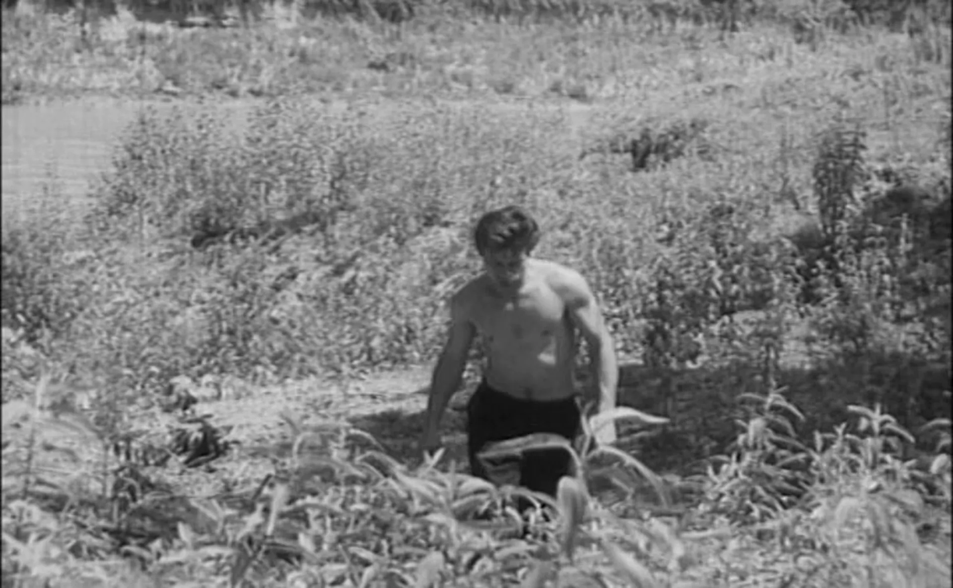 The Wild And The Naked scene still 6
