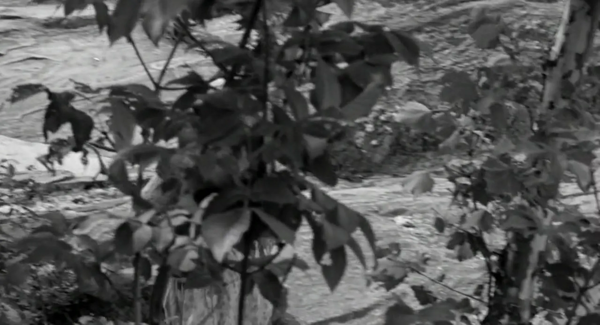 Lilith scene still 4