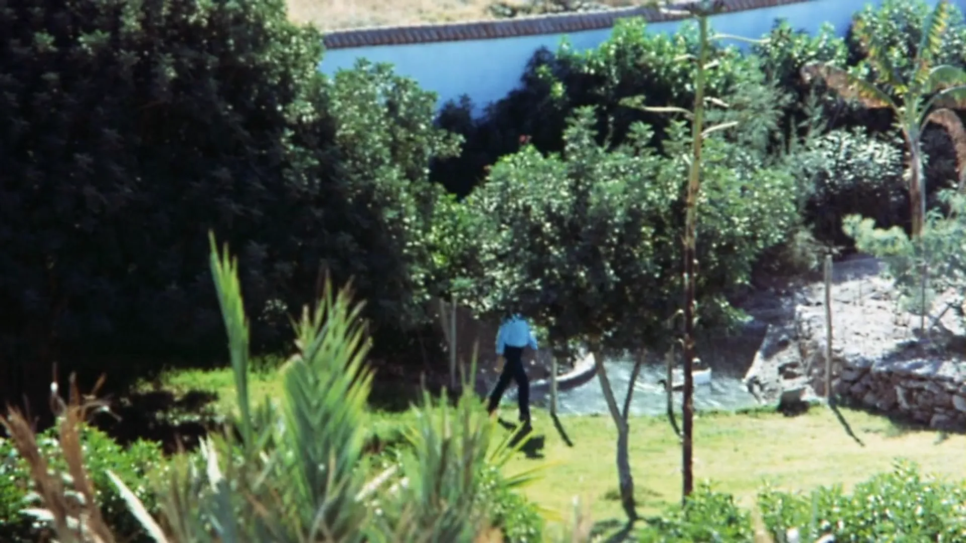 What the Peeper Saw scene still 2