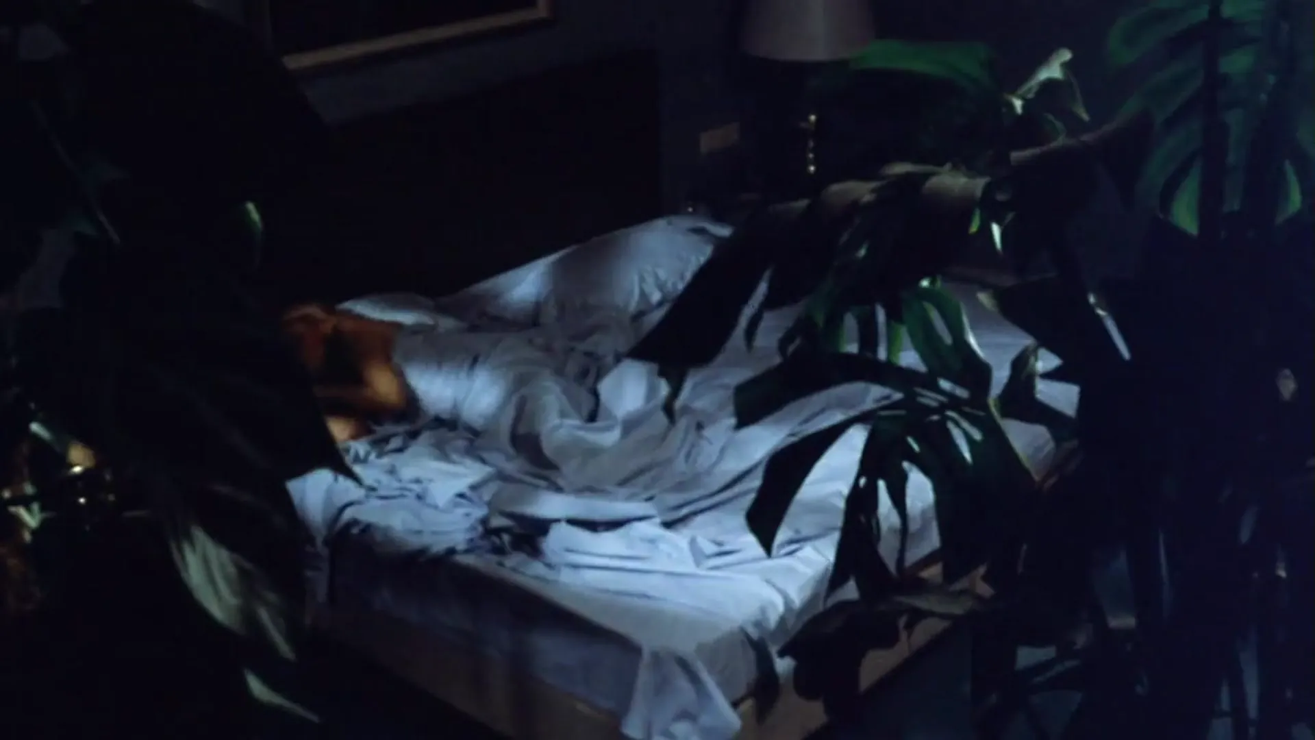 What the Peeper Saw scene still 10