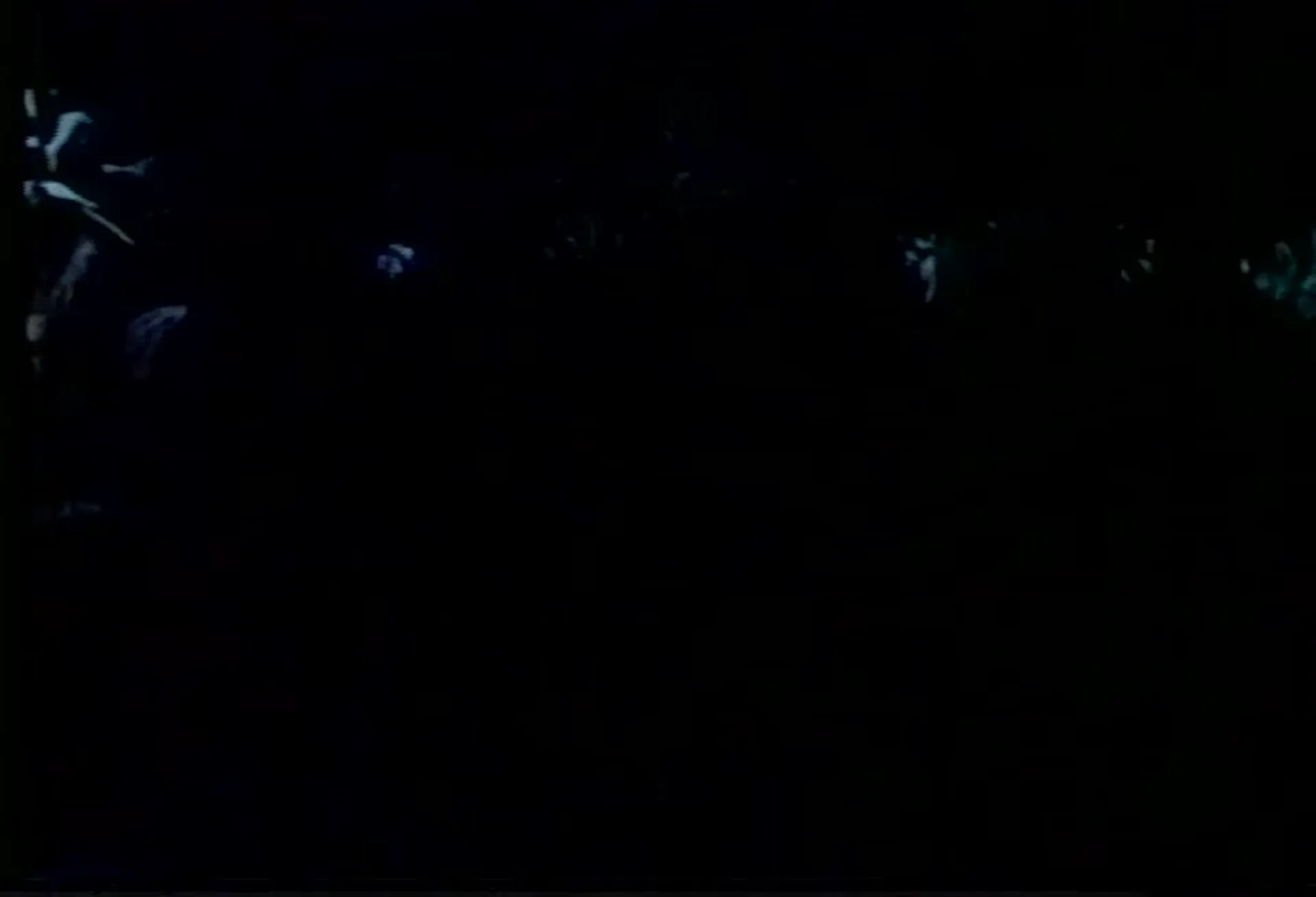 The Single Girls scene still 1