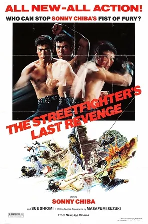 The Street Fighter's Last Revenge (1974) Movie Poster - SassyFlix