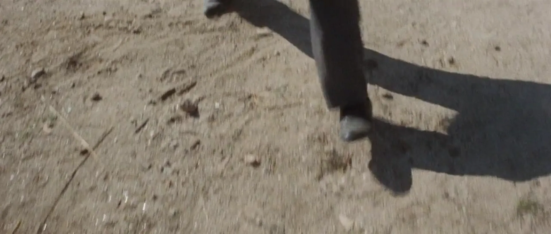 Light the Fuse… Sartana Is Coming scene still 4