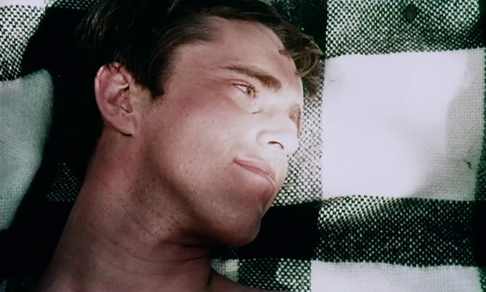 One Swedish Summer scene still 8
