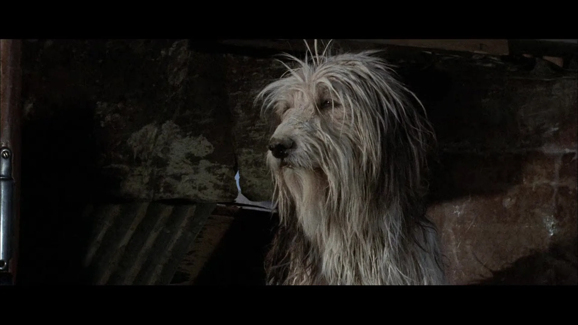 A Boy and His Dog scene still 1
