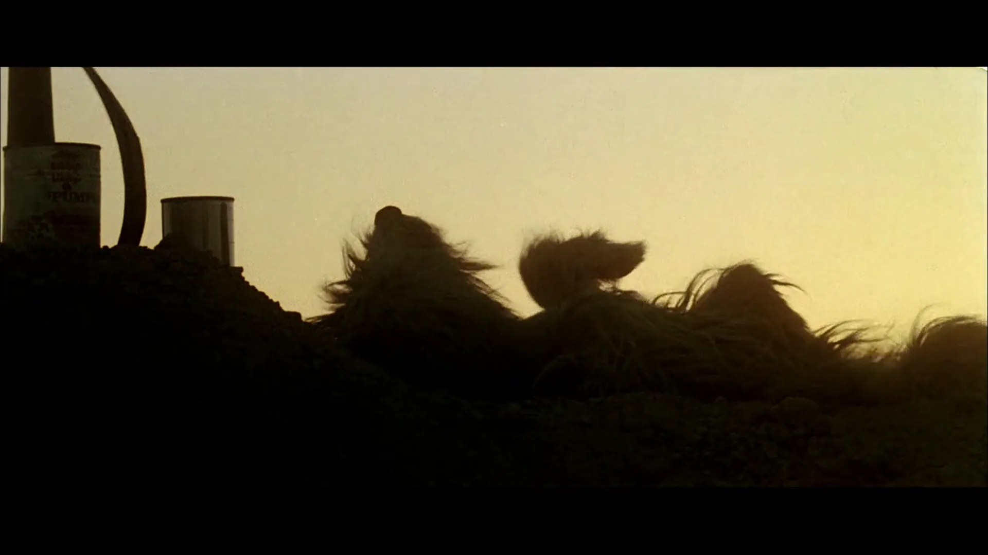 A Boy and His Dog scene still 2