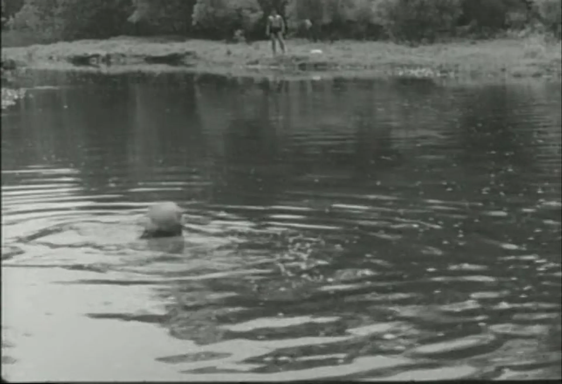 Freudus Sexualis scene still 10