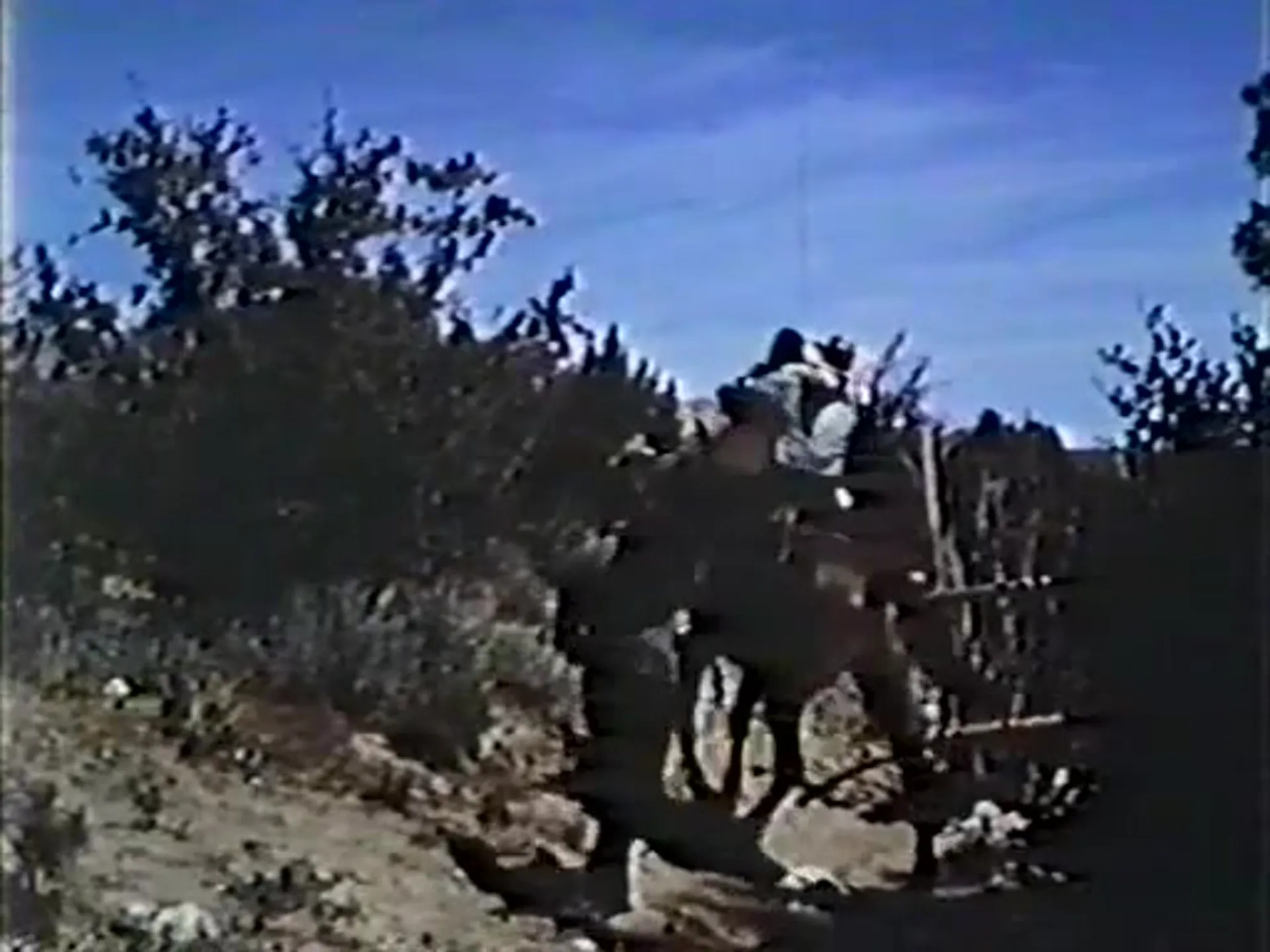 Ride a Wild Stud scene still 1