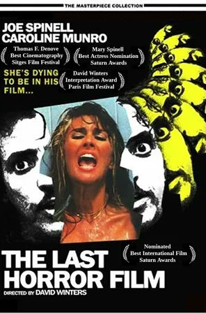 The Last Horror Film (1982) Movie Poster - SassyFlix
