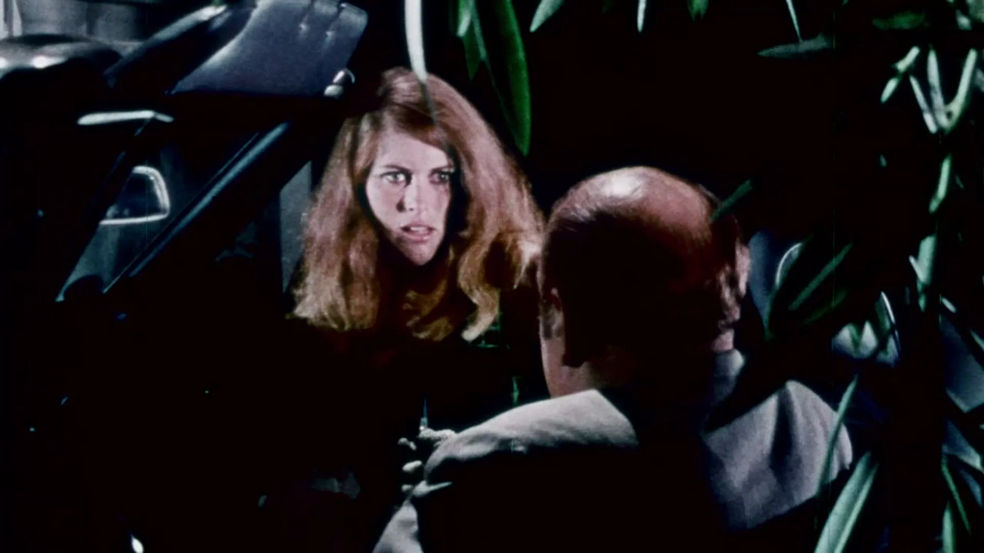 Two Roses and a Golden Rod scene still 4