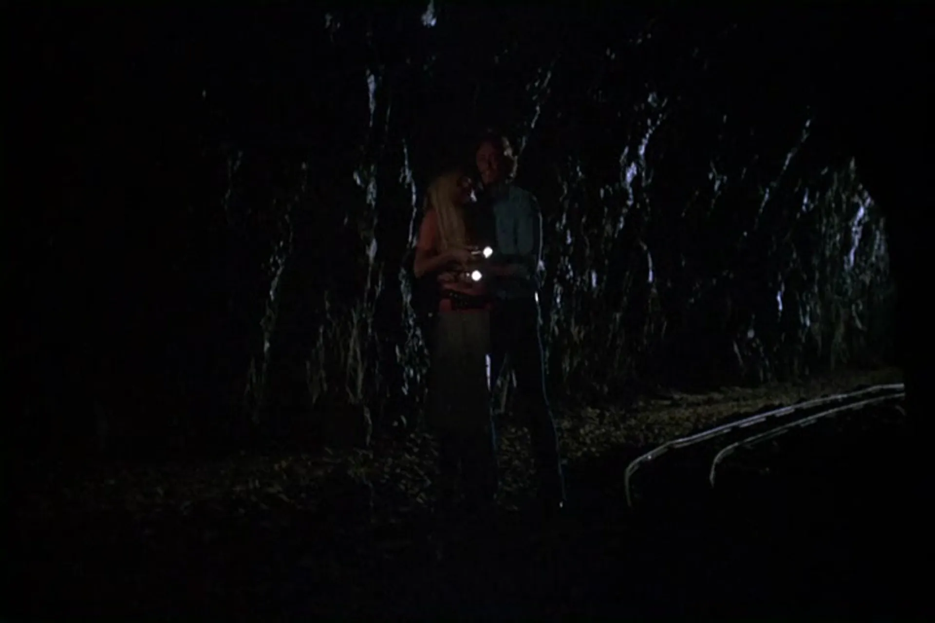 The Velvet Vampire scene still 4