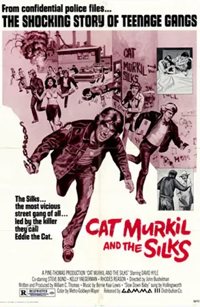 Cruisin' High (1976) Movie Poster - SassyFlix