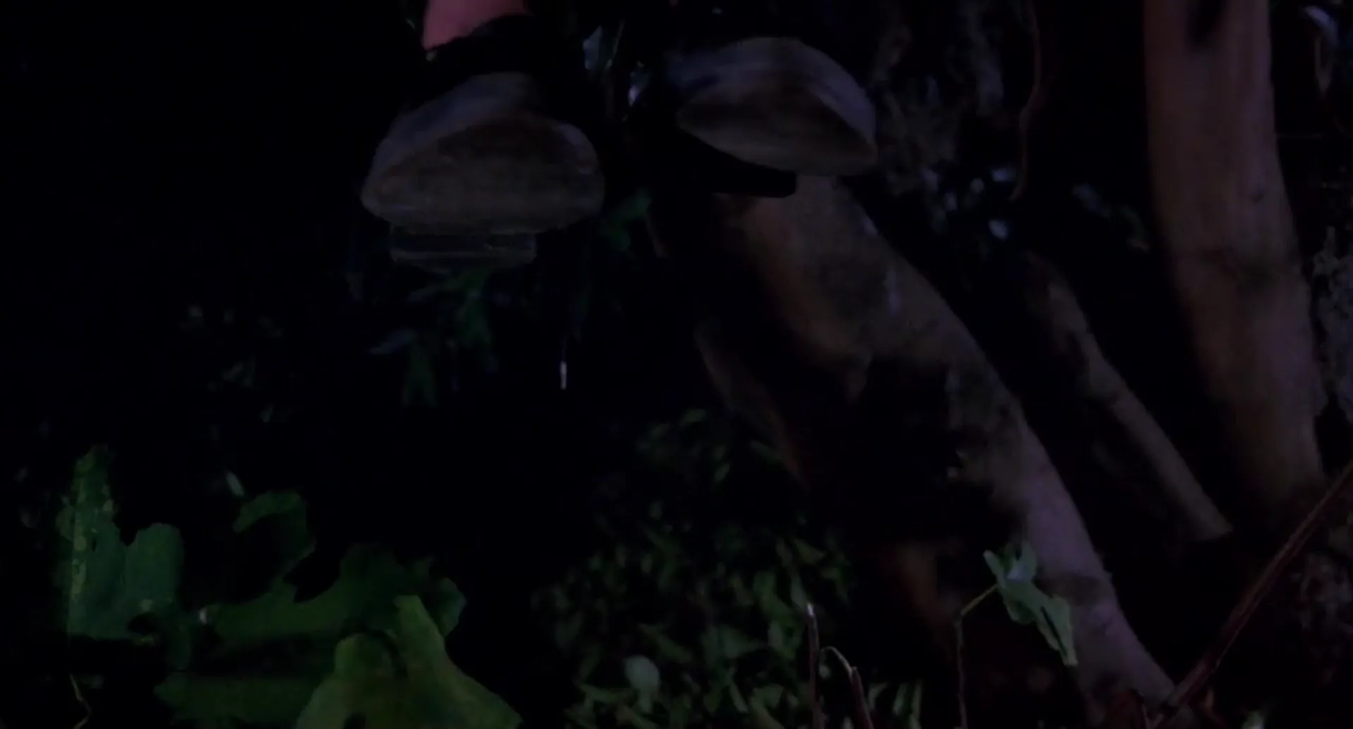 Ruby scene still 3