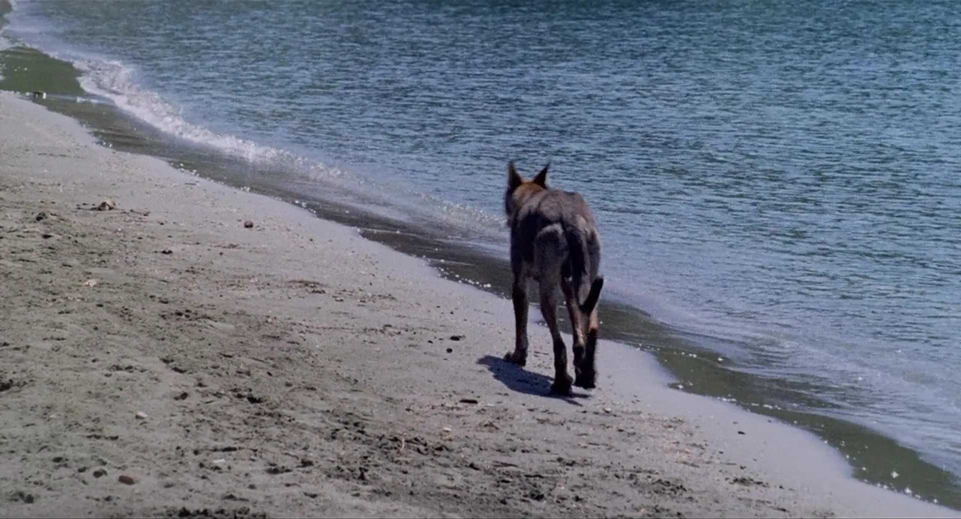 Footprints scene still 6