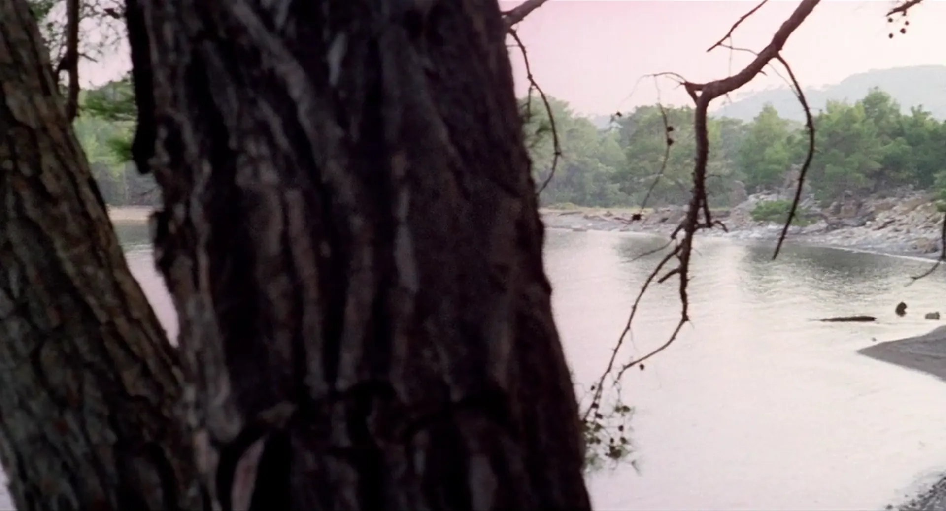 Footprints scene still 5
