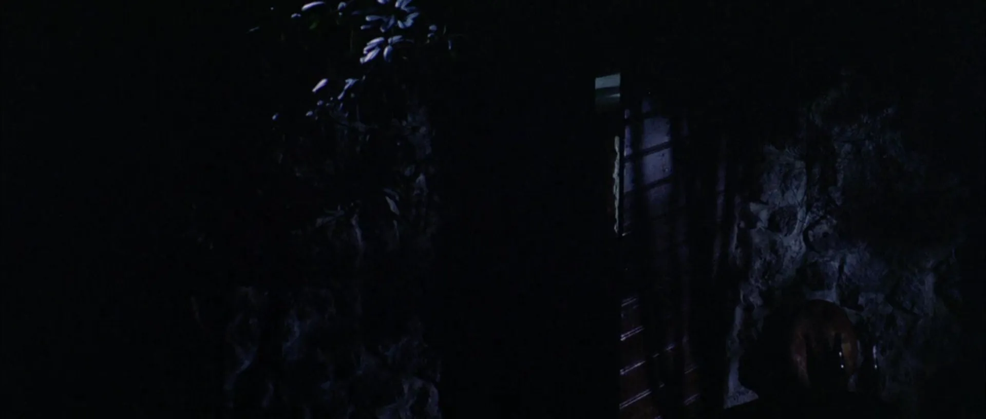 Spasmo scene still 4