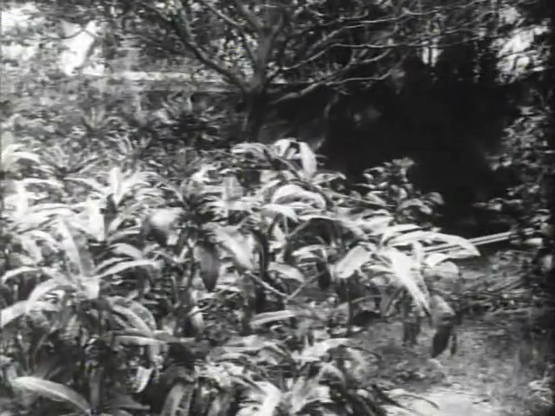 Desire Under The Palms scene still 10