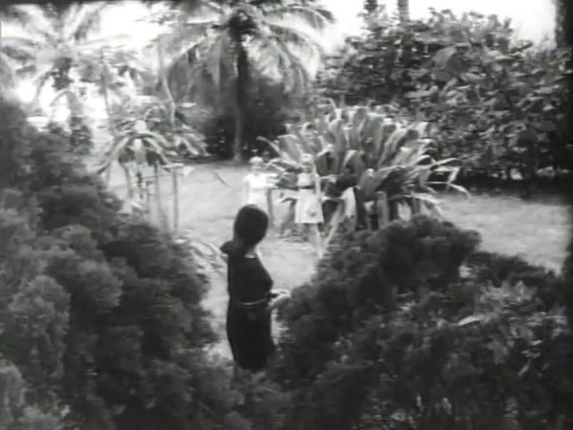 Desire Under The Palms scene still 3