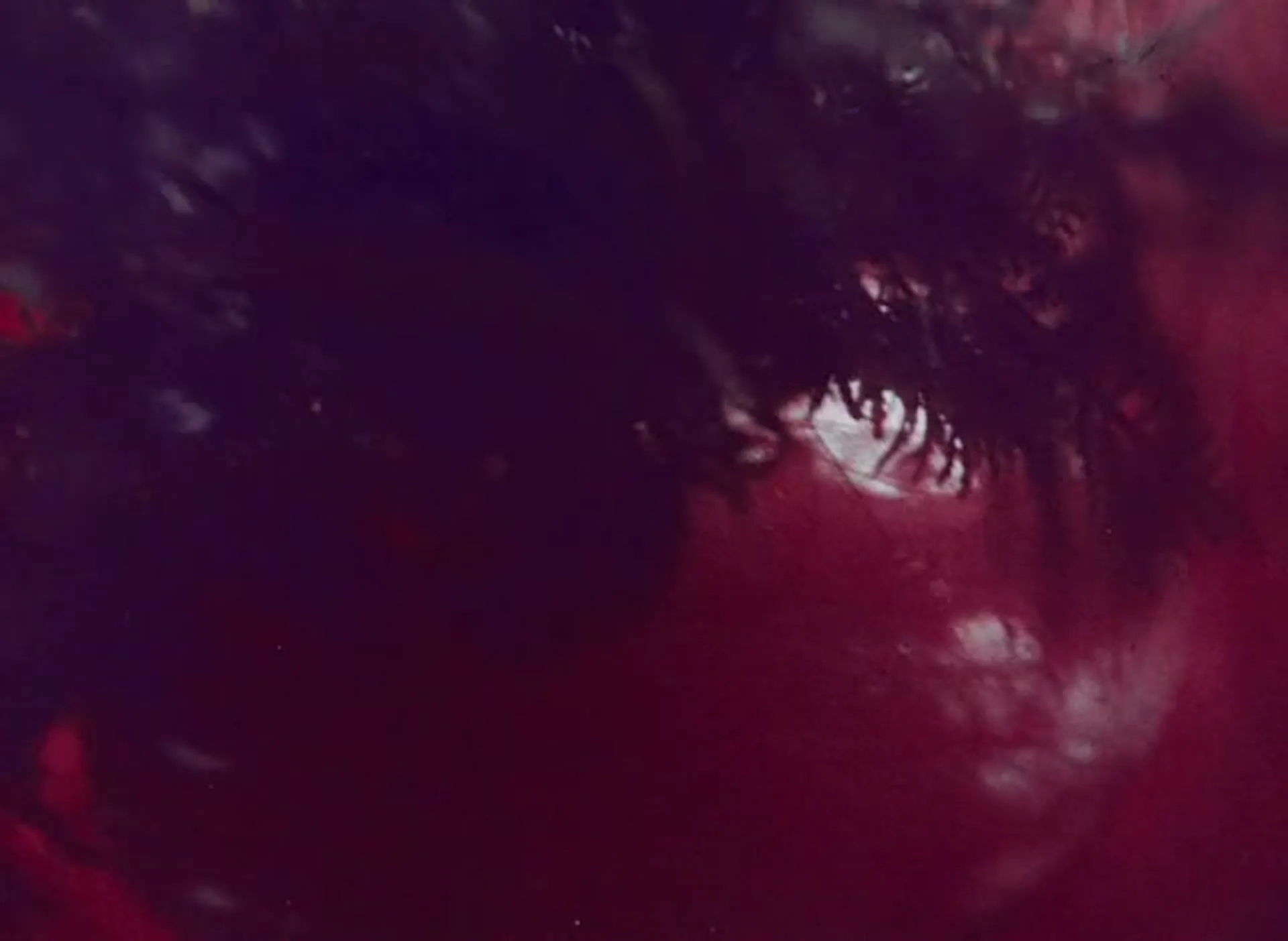 Wild Honey scene still 6