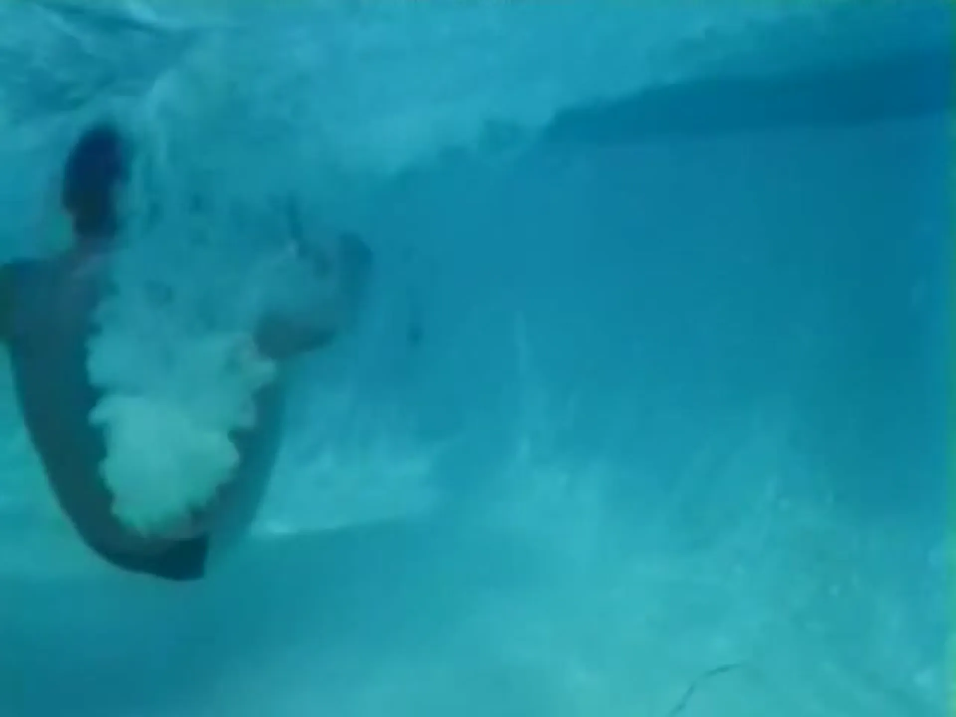 Acapulco Uncensored scene still 1