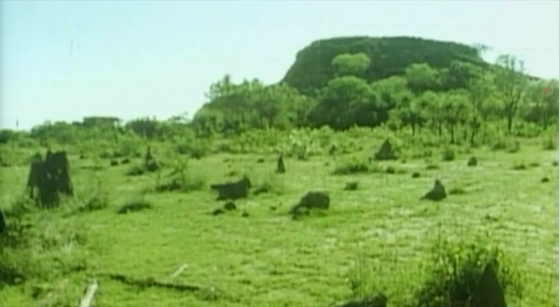 Australia After Dark scene still 1