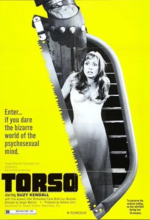 Torso