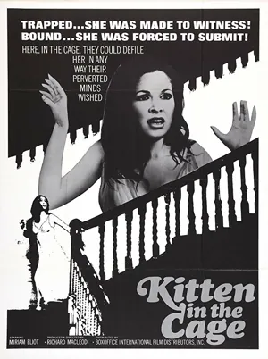 Kitten in a Cage