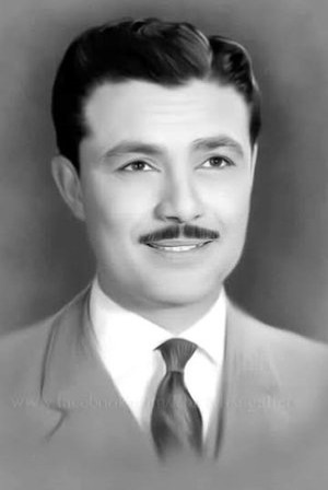Salah Zulfikar Salah Zulfikar