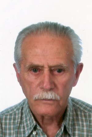 Thanos Grammenos Thanos Grammenos